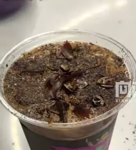 Pekində “tarakanlı kofe” satışa çıxarıldı